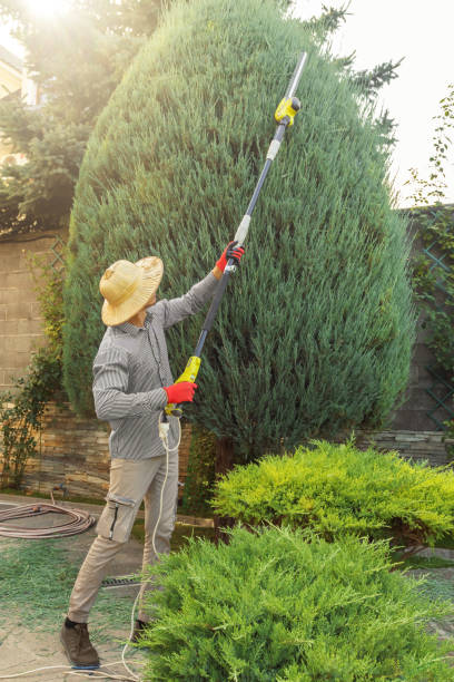 Artificial Turf Installation in Chesnut Hill, PA